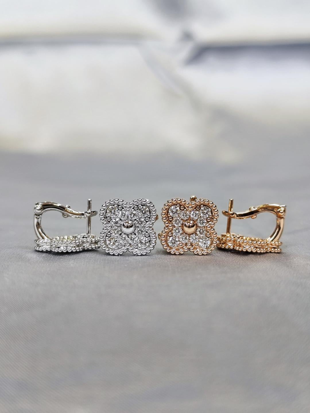 The Signature Collection