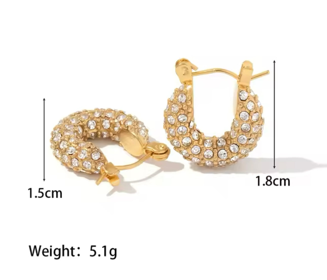 Evy Hoop Earrings