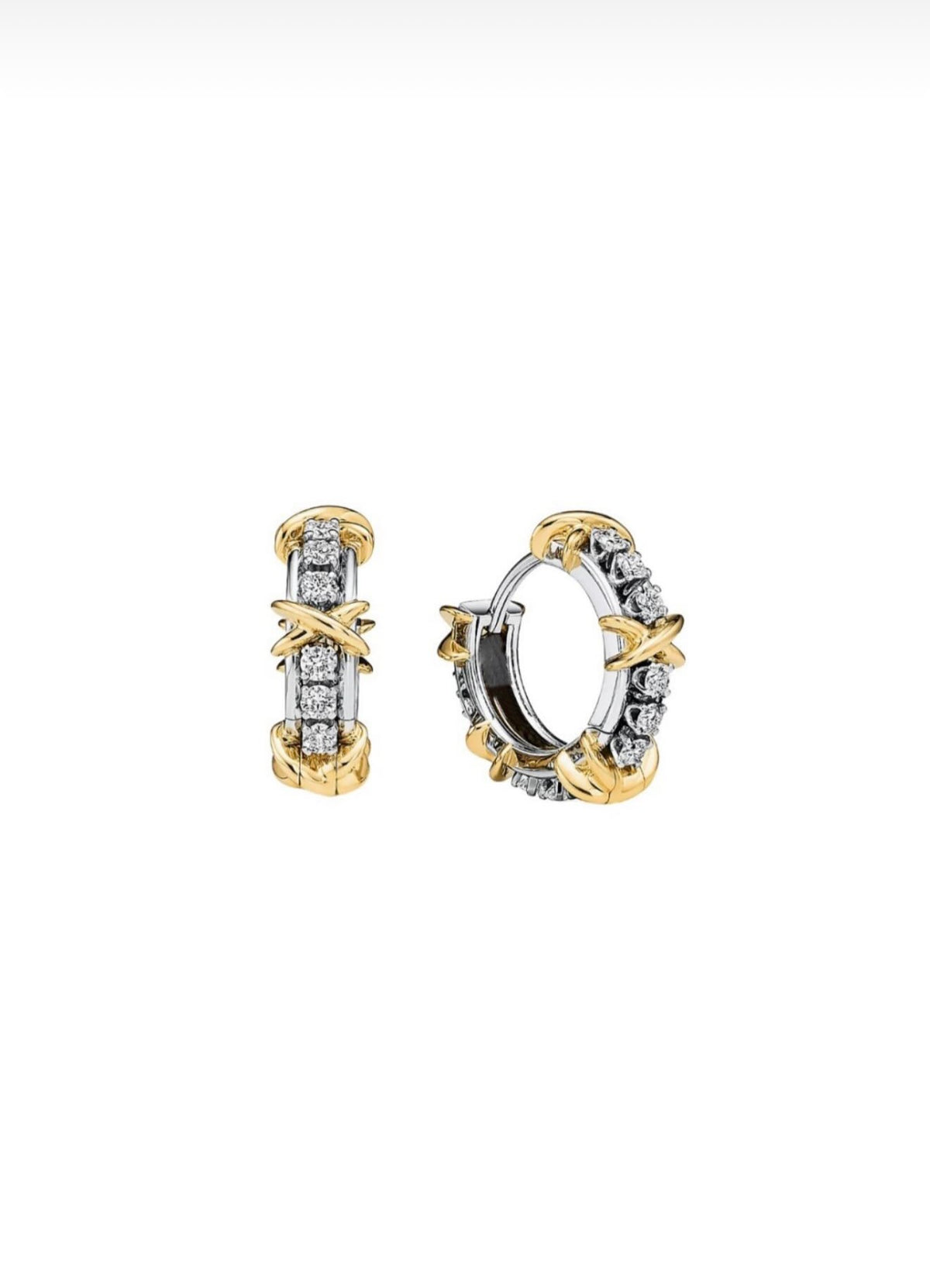 Tiffan Hoop Earrings