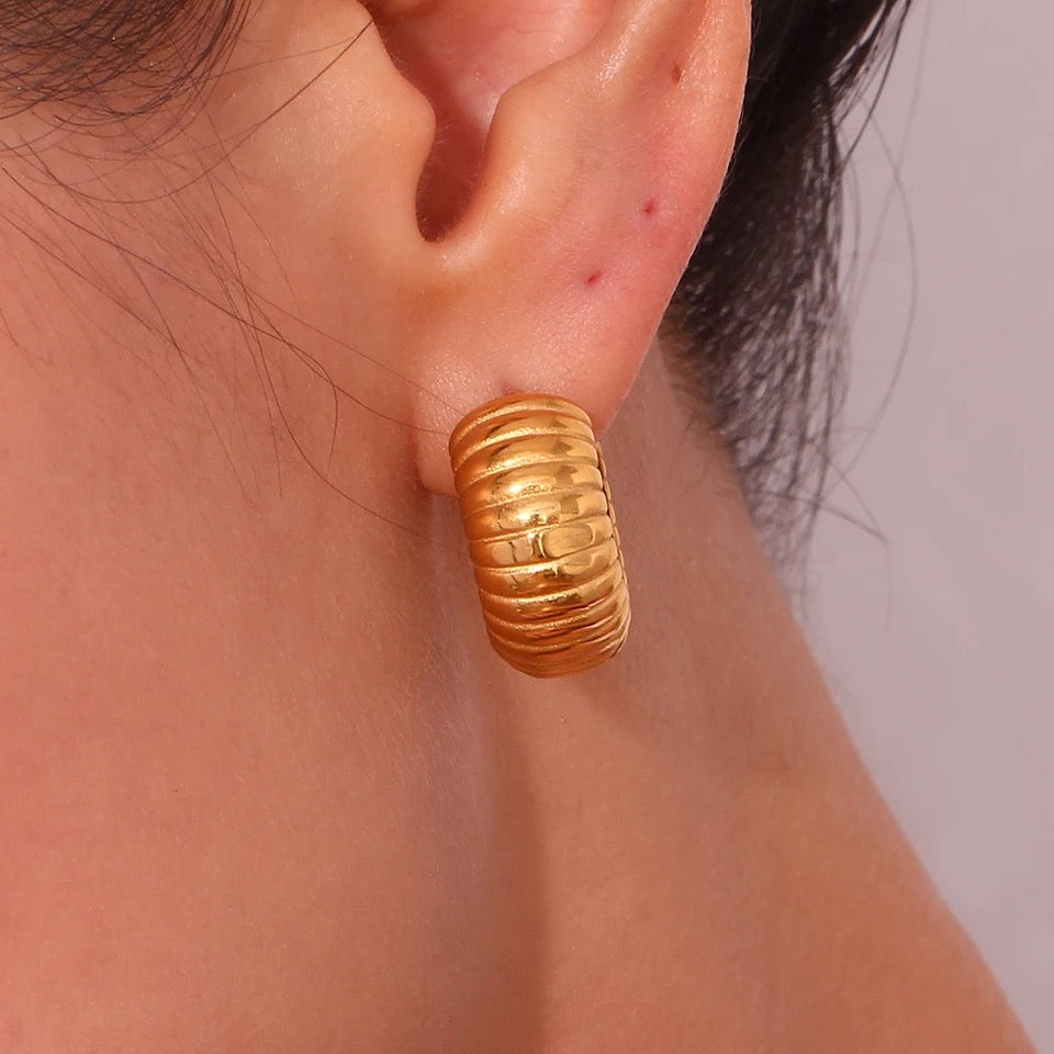 Chunky Hoops Earrings