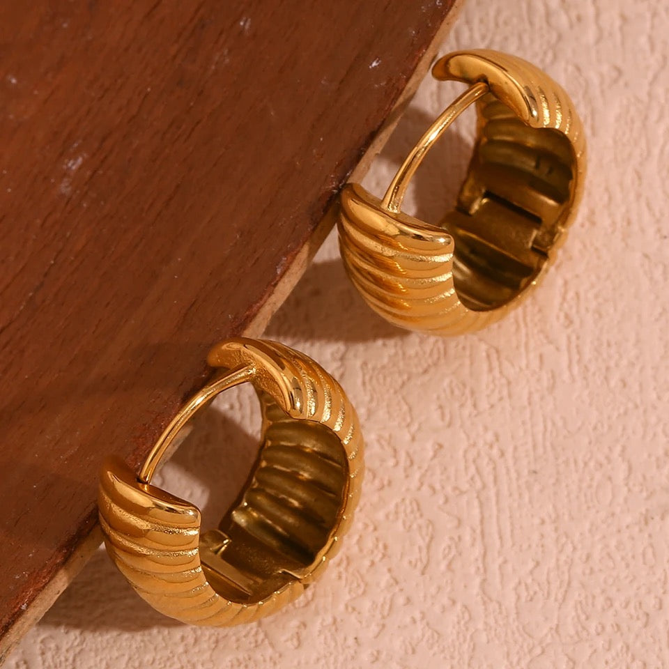 Chunky Hoops Earrings