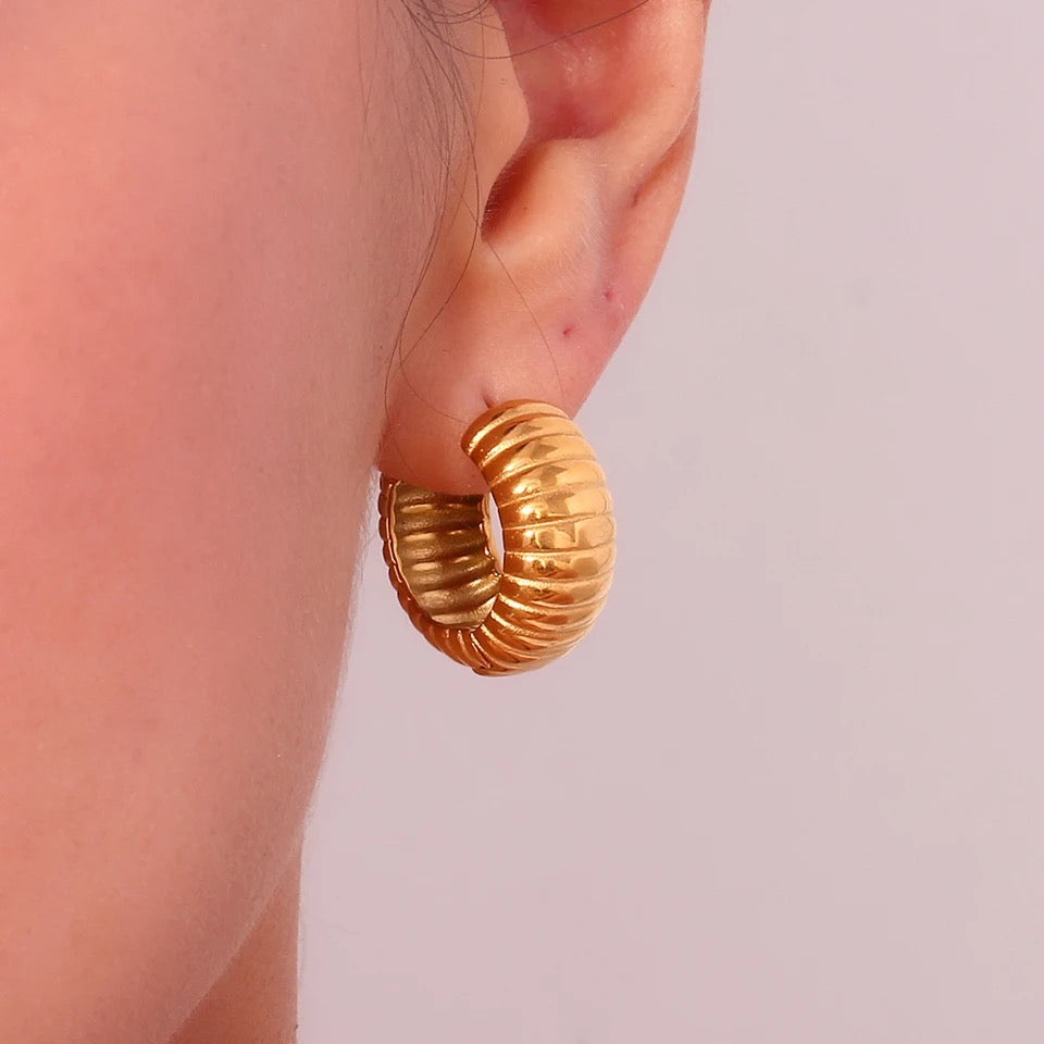 Chunky Hoops Earrings